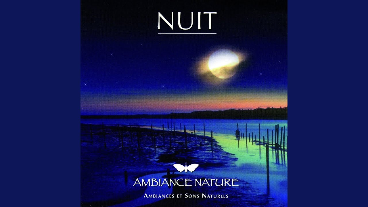Watch Ambiance nuit, étang de la Motte on YouTube Watch Ambiance nuit, étang de la Motte on YouTube