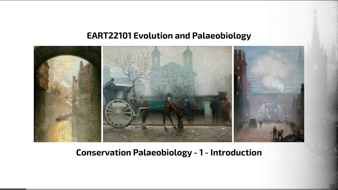 Conservation Palaeobiology, Video 1 - EART22101 - Palaeobiology and Evolution - 2023