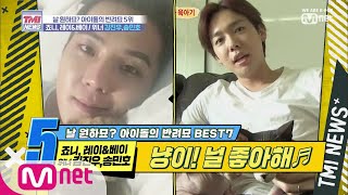 Mnet TMI NEWS [23회] 사람보다 고양이가 많은 숙소 '죠니,레이&베이♥위너 송민호,김진우' 191120 EP.23