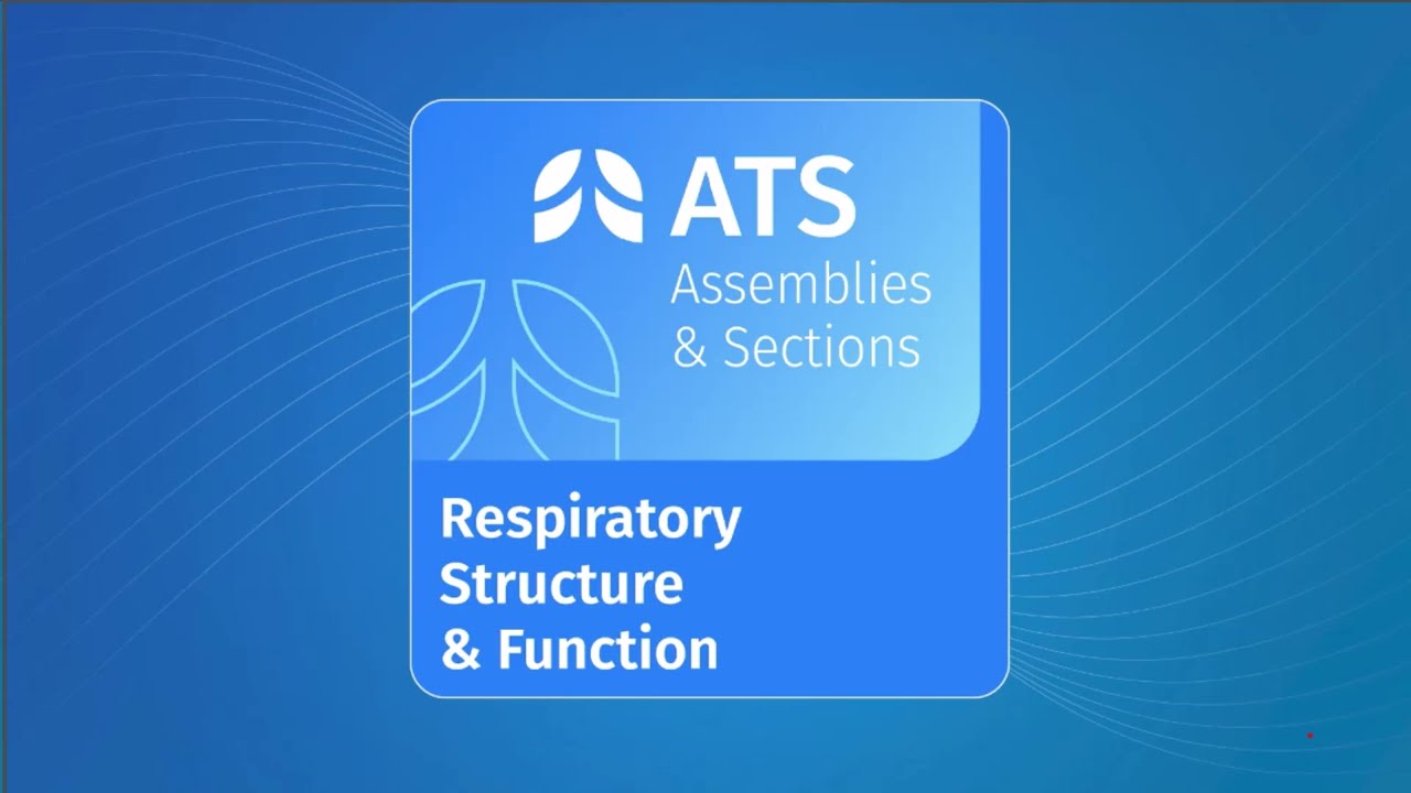 PhD and Basic and Translational Scientists Working Group: Who We Are