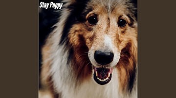 Pulsating Ambiance for Energetic Waves