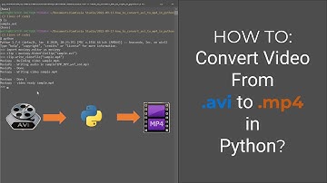 HOW TO: Convert Video From .avi to .mp4 in Python? (3 lines)