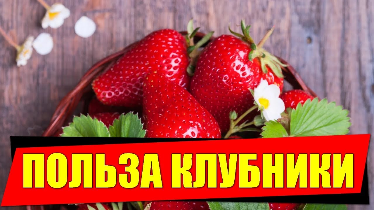 Польза клубники для организма. Клубника польза. Клубника польза и вред для здоровья человека. Интересные факты о землянике.