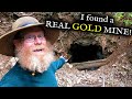 I found an actual REAL GOLD MINE hidden on my property!