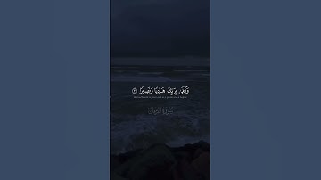 القارئ عبد الرحمن مسعد(سورة الفرقان)❤️