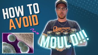 How to BURP/CURE and ways to Avoid MOULD