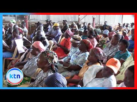 Mwea Rice Farmers Decry Losses Connected to Poor Roads and Delayed Payments