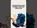 The Mind-Blowing Biochemistry of Cordyceps Mushrooms | FoodBlobs