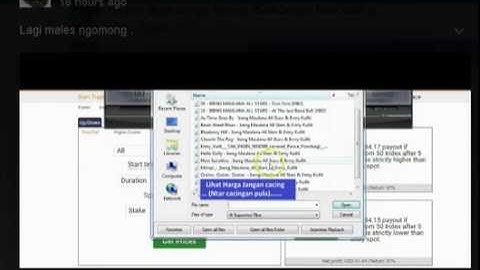 Option Binary.com Rise fall Volatility 50 By  Martandang