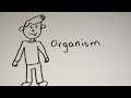 Levels of Organization in Biology