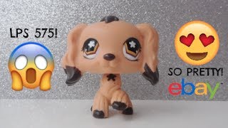 LPS MAILTIME- COCKER SPANIEL 575! +HOW TO TELL A REAL LPS FROM A FAKE!