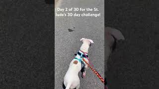 Day 2! Also beginning my weight loss journey during this. Any advice? #dog #stjudes #weightloss