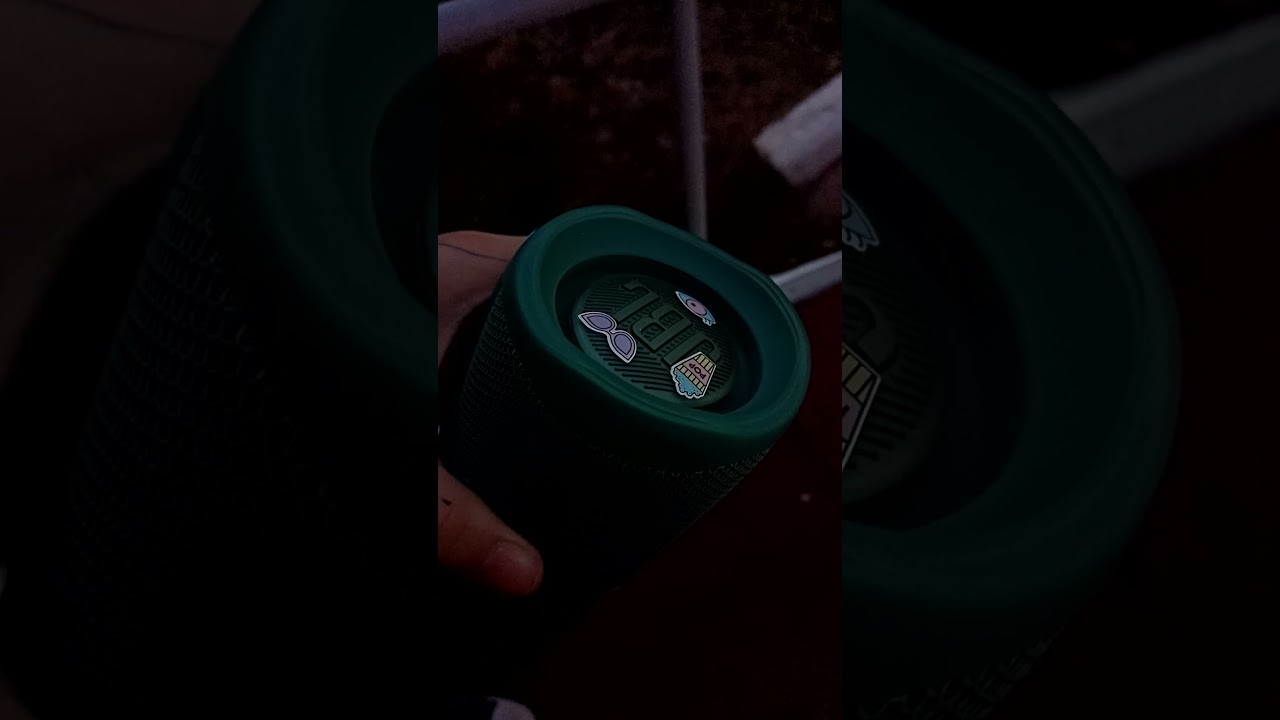 JBL FLIP 5 ECO TL BASS TEST VOL 100% LFM PERFECT FOCUS | ft weril TL