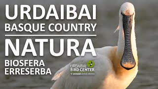 🔴 URDAIBAI Basque Country Wildlife Cam en DIRECTO🔴 Zuzenean · Live! EUSKADI · Pais Vasco screenshot 1