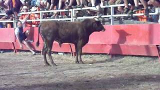 vakillas santpedor 2009