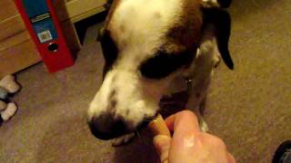 DSCF0139.avi