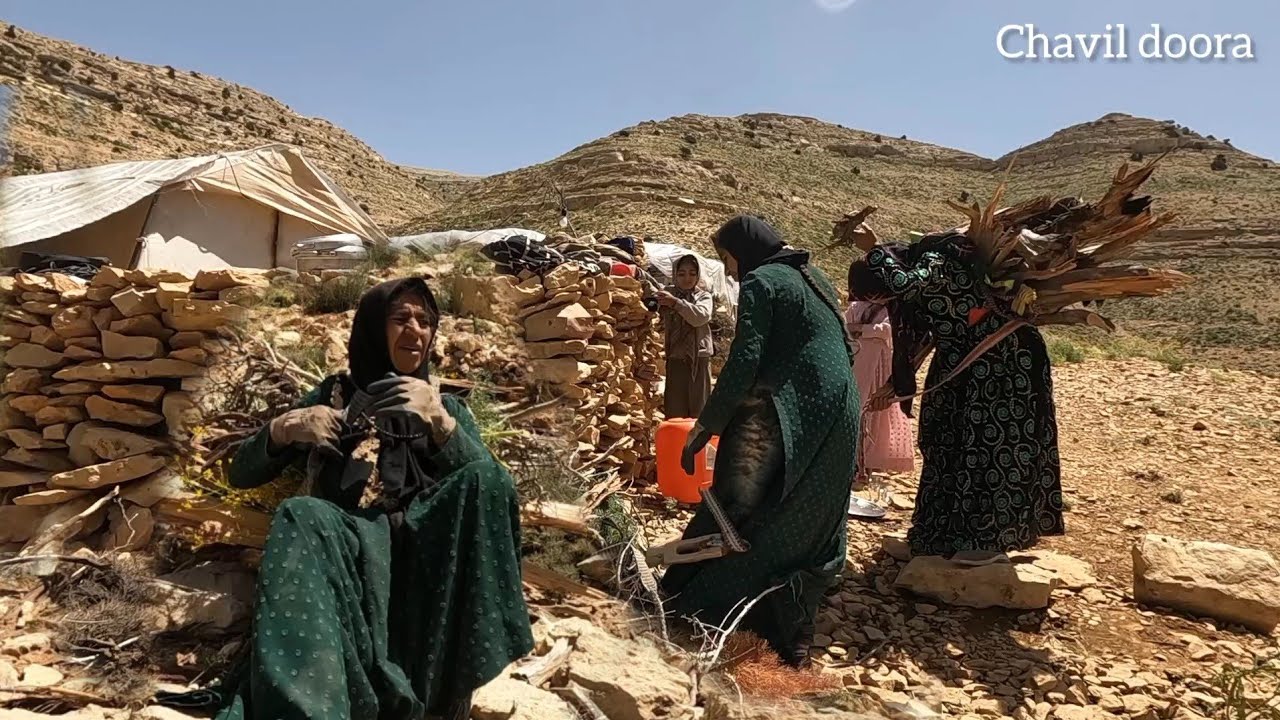 Collecting firewood for cooking in the nomadic area (Sardsir). - YouTube