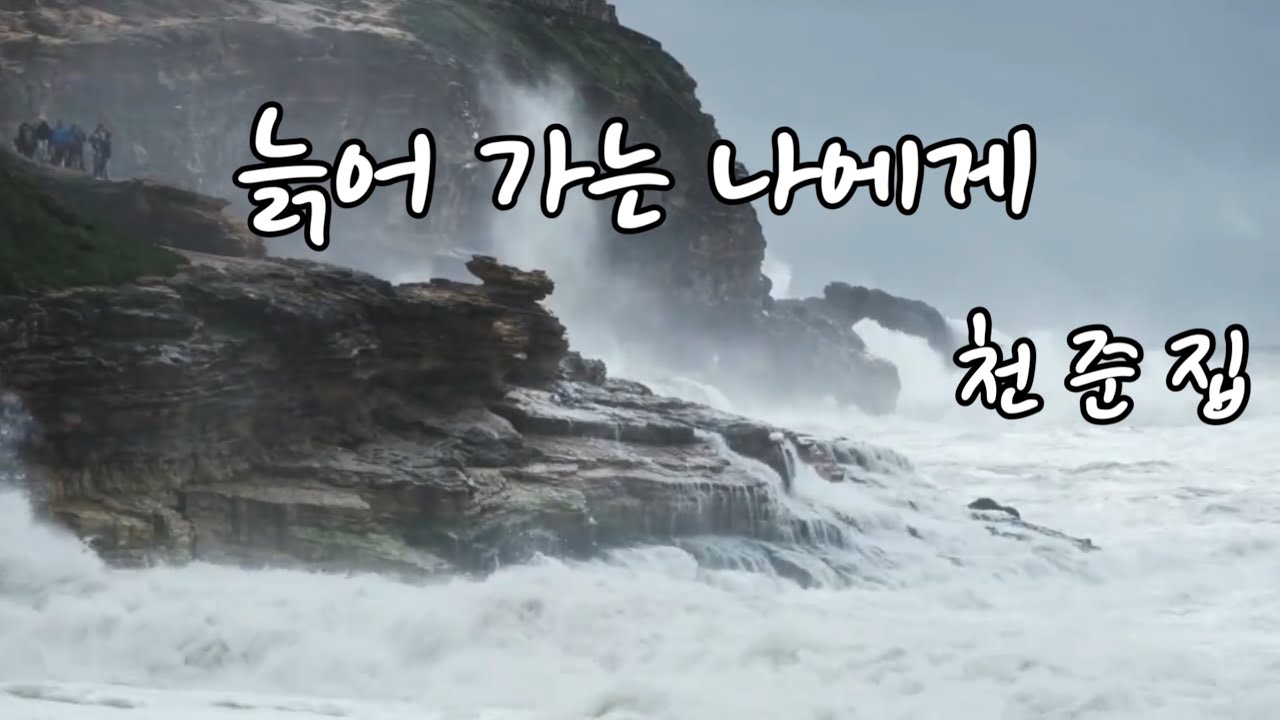 늙어 가는 나에게  천준집