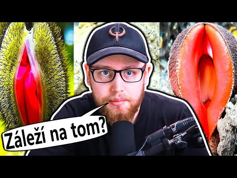 Video: Záleží na velikosti zátěže?