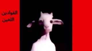 . كيفية كشف عن الرقم المخفي المتصل بك لكل الهواتف screenshot 5