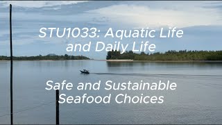 From Nets to Nature: The Marine Ecosystem of Telaga Air