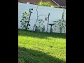 #cardinal #backyardwildlife #birdfeedercamera #birdwatching #soundsofnature #birds #nature