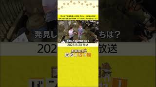【牛が出す温室効果ガス抑制　牛のゲップ博士の挑戦】道内１割の畜産農家が使用　メタン抑制エサの可能性とは？
