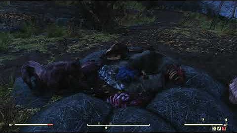 The Forest Region Object Random Encounter Hotspot #13 - Fallout 76