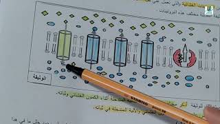 دور البروتينات الغشاءيةفي كمون الراحة تمرين مقترح للباكالوريا،الجزء2