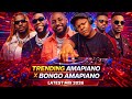 LATEST TRENDING AMAPIANO X BONGO AMAPIANO MIXX 2026 DJ SSIVE NONSTOP PARTY MIX
