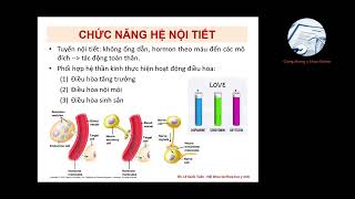 ĐẠI CƯƠNG HỆ NỘI TIẾT | Ôn thi SĐH UMP 2022 | BS. Lê Quốc Tuấn ĐẠI CƯƠNG HỆ NỘI TIẾT | Ôn thi SĐH UMP 2022 | BS. Lê Quốc Tuấn