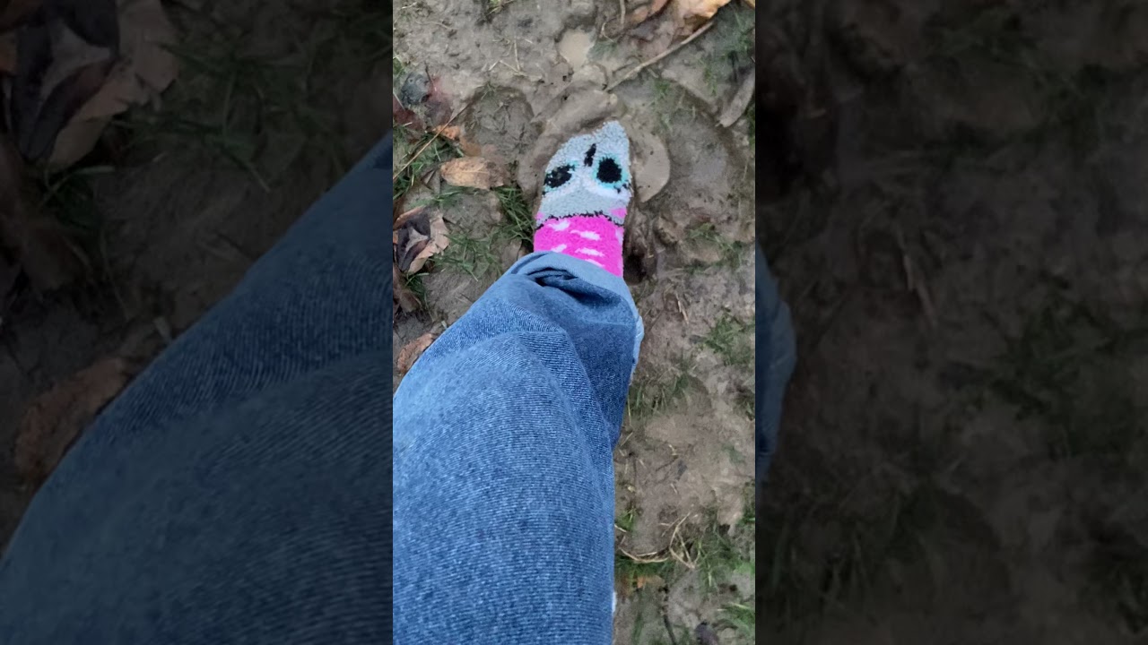 Fuzzy owl socks in mud