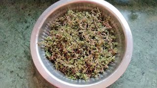 उनहळयत ख घळभज गवरन सक चवळचभज How To Make Chivali Bhaji Chiwali Chi Bhaji Ep39