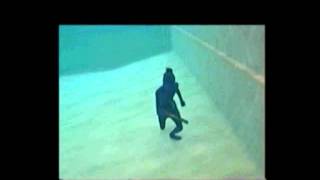 Morphsuit Under Water