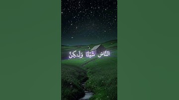 تلاوة هادئة //أَفَأَنتَ تَهْدِي الْعُمْيَ وَلَوْ كَانُوا لَا يُبْصِرُونَ #القرآن_الكريم #قرآن #quran
