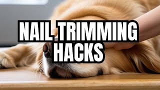 Trim Dog Nails Fast, Without the Fuss – Our Top Tips! by Southern Charm DIY 86 views 3 months ago 1 minute, 1 second
