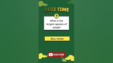 99% Fail This IQ Test! 🤯 Can You Get It Right? 🔥