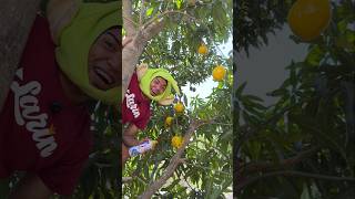LOS MANGOS MADUROS #comedia