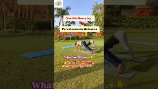 What Happens When You Practice This Yoga Flow Daily?👀 #yoga #mobility #flexibility #healthylifestyle