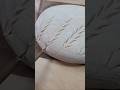 Sourdough scoring:Result at the end of the shorts