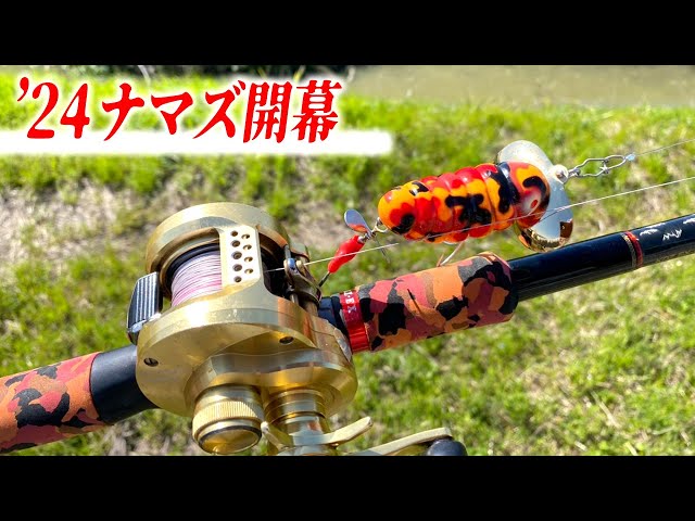 春のナマズ釣り】桜並木の下で、巨大ナマズを追う！ - YouTube