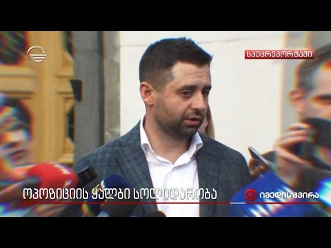 ოპოზიციის ყალბი სოლიდარობა