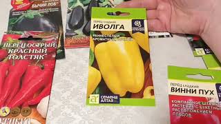 картинка: Семена баклажан и перцев на 2024 г.