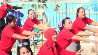 Zumba anjing kacili terbaru