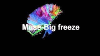 Muse Big freeze
