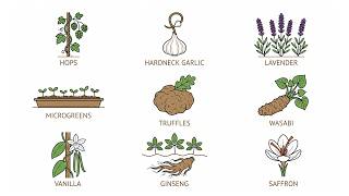 The 9 Most Profitable Crops Per Acre