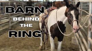Everything from APHA to Zebus at Bowie Horse Auction!