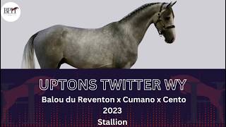 Uptons Twitter WY Ridden