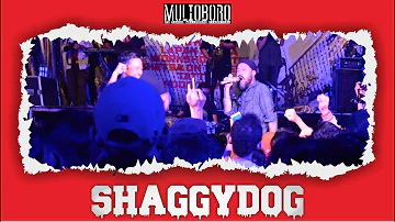 SHAGGYDOG | Mulioboro 2017 Malioboro Classical [HD]