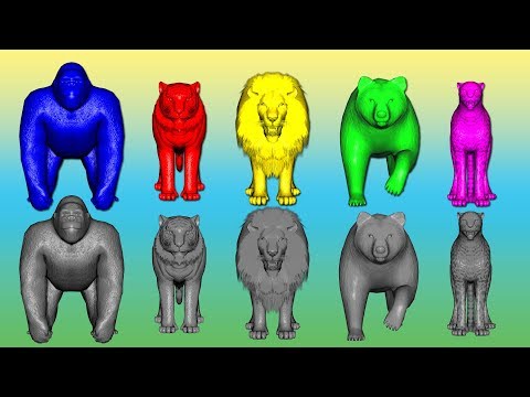 Wild Animals Finger Family Song For Kids Nursery Rhymes Children Toddlers Gorilla Color NASH TOON Tv